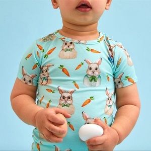 Posh Peanut Darwin Two Piece Pajama Set Sz: 6-12